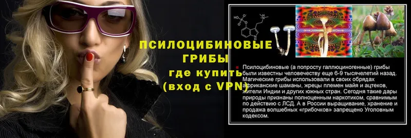 darknet клад  Кашира  Псилоцибиновые грибы GOLDEN TEACHER 